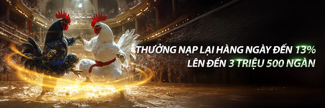 Đá gà trực tuyến tại nw88 thể thao